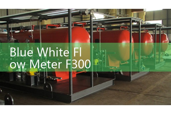 Blue White Flow Meter F300: Sourcing Impact Pitot Pipe Fluid Indicators